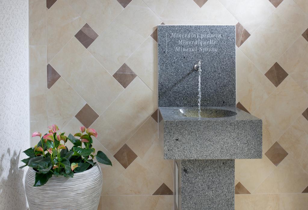 Badenia Hotel Praha Františkovy Lázně المظهر الخارجي الصورة